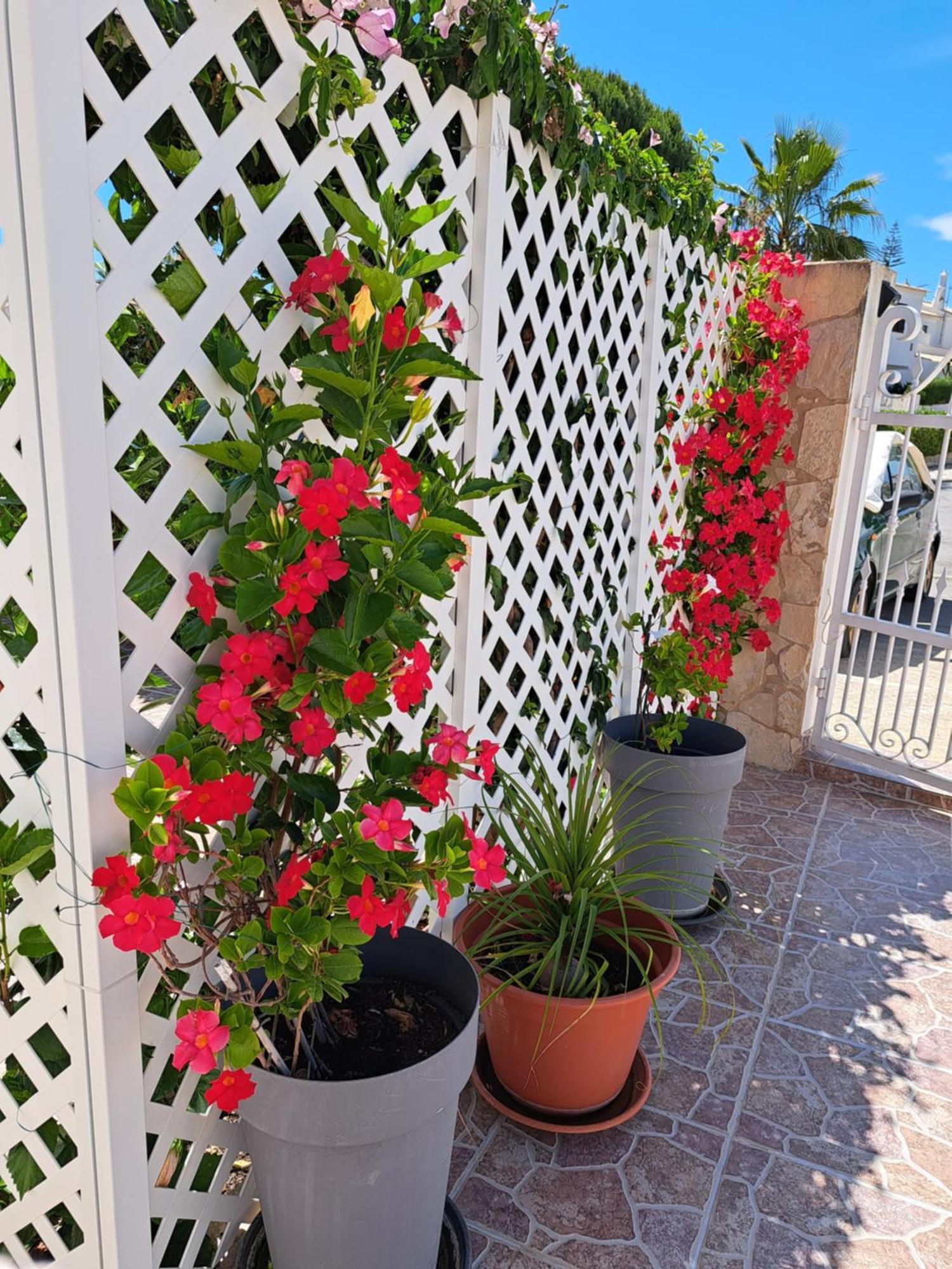 Villa Mariamar 阿尔布费拉 外观 照片
